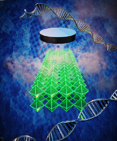 An illustration showing how highly nanostructured 3-D superconducting materials can be created based on DNA self-assembly.
