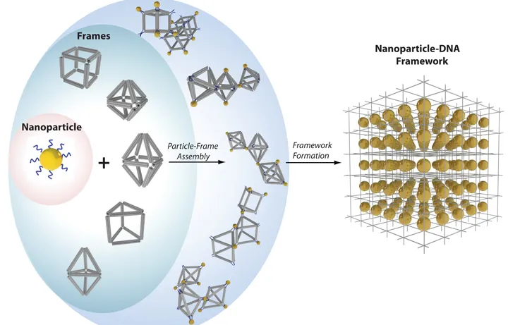 Shaping DNA for material fabrication
